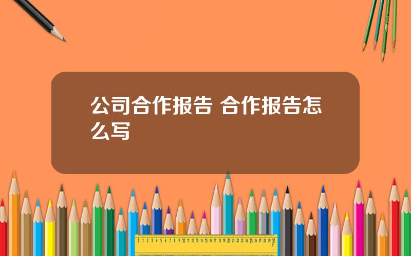 公司合作报告 合作报告怎么写